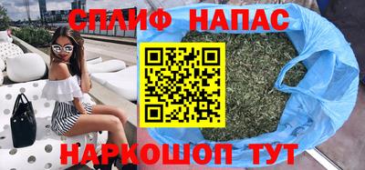 мдпв Будённовск