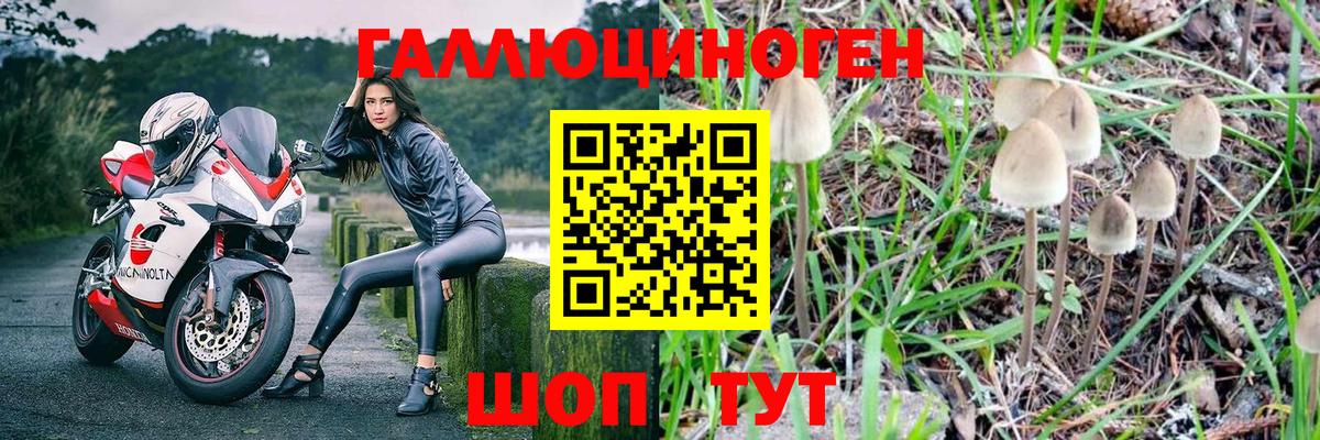 Псилоцибиновые грибы прущие грибы  Галлюциногенные грибы MAGIC MUSHROOMS  Тимашёвск  Вход с VPN 